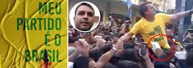 Resultado de imagem para bolsonaro meu partido Ã© o brasil