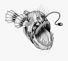 Aug 24, 2017 · below you will find the types of fish we have caught and the locations to find them. Transparent Anglerfish Png Angler Fish Tattoo Designs Png Download Kindpng