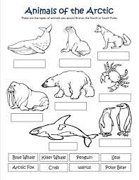 Supercoloring.com is a super fun for all ages: Cute Arctic Animals Coloring Pages Novocom Top