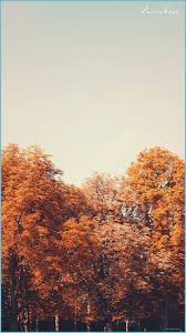 Search free wallpapers, ringtones and notifications on zedge and personalize your phone to suit you. Free Download Autumn Wallpaper Desktop Mobile Autumn Iphone Aesthetic Fall Wallpaper Neat