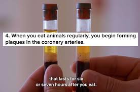 The game changers is a new film executive produced by james cameron, arnold schwarzenegger and jacki. The Game Changers On Netflix Might Make You Want To Go Vegan Here Are 13 Things I Learned Watching It