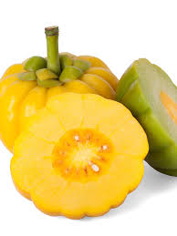 Image result for Garcinia acutifolia