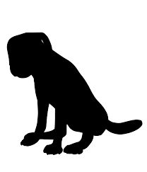 Download Svg Cute Mammal Animal Expression Free Svg Image Icon Svg Silh