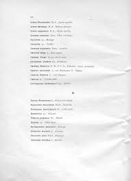 Image result for Ctenium concinnum