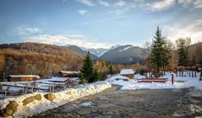 Cele mai sigure oferte de munca in europa. Oferta Craciun 2020 Complex Pastravaria Albota 4 Romania Albota