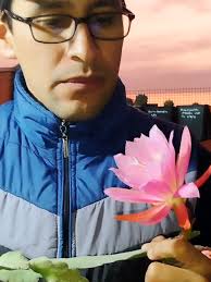 🌸 Parece una flor de fantasía 😱✨ Así luce mi Epiphyllum de flor rosada  #cactus #flores #epiphyllum #Chiclayo #peru