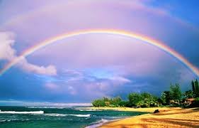 Pin On Rainbows