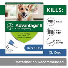 bayer advantage ii flea and lice treatment for x large dogs over 55 lbs