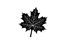 Download Maple Leaf Svg Cut File By Creative Fabrica Crafts Creative Fabrica Yellowimages Mockups