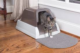 Your vet will follow up these shots with regular the exact shots your new cat will need, and how frequently they'll need them, will be determined through discussions with your veterinarian and based. Budgeting Your First Year Of Kitten Supplies Petco