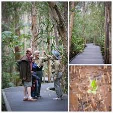 Pin On South East Queensland Explorating