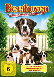 It was also the last film to involve reitman as executive producer. Ein Hund Namens Beethoven Komplettbox 8 Dvds Von David Mickey Evans Dvd Thalia