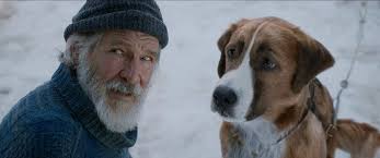 Vahsetin Cagrisi The Call Of The Wild Film Elestirisi Ve Yorumlar Ortakoltuk