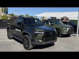 Image result for Nori Green 2022 LC