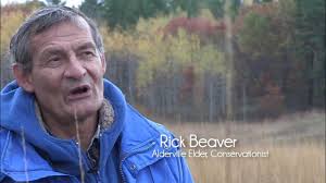 Rick Beaver & the Alderville Black Oaks Savanna