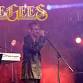 Bee Gees Tribute Night event image