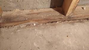 Once the old door frame is removed, the rot is visible in the wood framing. Re Framing Basement Walls After Flooding Drain Tile With No Concrete Home Improvement Stack Exchange