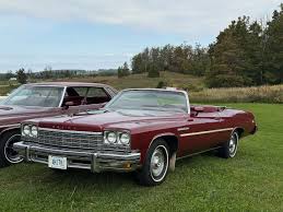 Image result for Indigo 1975 Buick