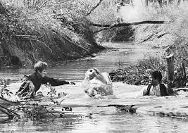 Where Bonnie and Clyde died—and still live on | Shootout, Aftermath, &  Gibsland, Louisiana | Britannica