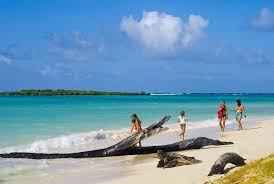 The island's endemic wildlife and forests are unique tourist attractions. Madagascar Tourism On Twitter The Emerald Sea Is One Of The Most Beautiful Tourist Sites Of Madagascar Mymadagascar