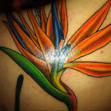 Realistic Bird Of Paradise Flower Tattoo Bird Of Paradise Flower Tattoo Inspiration Pinterest Bird Of Bird Of Paradise Tattoo Paradise Tattoo Flower Tattoo Meanings