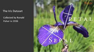 Learning Neural Networks With Tensorflow The Iris Dataset Packtpub Com Youtube