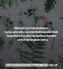 Baik anda seorang pecinta kucing atau bukan, tidak ada yang ingin berhadapan cara menenangkan kucing. Zulaila Tuan Zulaila Twitter