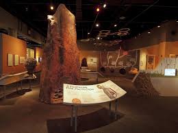 Nature S Architects On Exhibit At The Peggy Notebaert Nature Museum Visual Arts Nwitimes Com Nature Museum Peggy Notebaert Nature Museum Architect