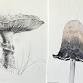 The Naze - Drawing and Painting Class Fantastic event image
