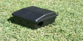 When it comes to pest control, who is financially responsible? Pest Control In Cape Town Call 021 300 1905