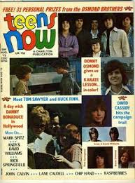 Teens Now Uk Magazine August 1973 Or 1974 The Osmonds Osmond