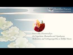 Translated from sanskrit, it literally means one who practices yoga.. On Yogachara Shamatha And Vipashyana Meditation And Tathagatagarbha As Skillful Means By Venerable Dhammadipa Buddha Nature