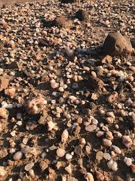 My go to arizona rockhounding sites for these are the aforementioned locations at diamond point and round mountain, woops, secrets out! Impossible Not To Find Fire Agates At Round Mountain Arizona Rockhounds