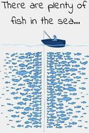 There Are Plenty Of Fish In The Sea Quote Andillustration Just For Laughs Humor Plenty Of Fish