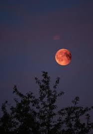 During the eclipse, the moon will glide into earth's shadow, gradually turning the white disk of light to orange or red. 6 289 Best Lunar Eclipse Images Stock Photos Vectors Adobe Stock