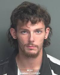 LAST NAME: VALENTINE FIRST NAME: TRENTON MIDDLE NAME: RAY AGE: 23 RACE: W  NAME NUMBER: 296066 ADDRESS: MAGNOLIA DR; DARLENE MEHL CITY: SPLENDORA  STATE: TX ZIP: 77372 ARREST DATE/TIME: 12:57:16 09/22/25 ARREST