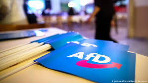 Afd's current portfolio with egypt includes 17 projects Germany S Far Right Afd Fuels Xenophobia With Distorted Crime Figures Study News Dw 05 08 2019