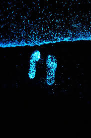 Images & pictures of sea maldives wallpaper download 33 photos. Sea Of Stars Wallpapers Wallpaper Cave