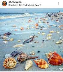 547 Best Fort Myers Beach Images In 2019 Fort Myers Beach