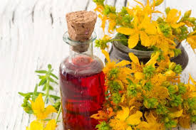 Aiuta a combattere gli stati depressivi ed è un rimedio contro diversi disturbi nervosi. Oleolito Di Iperico Una Risorsa Per I Nostri Amici A Quattro Zampe Inherba Il Mondo Delle Piante Aromatiche Oli Essenziali Estrazione D Essenze E Rimedi Cure Naturali