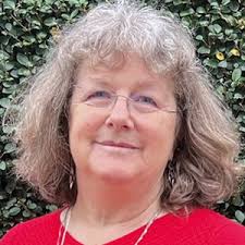 Barnet local election: The 12 candidates in East Finchley