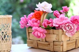 Find images of flower basket. Woven Basket Full Of Petaled Flower Hd Wallpaper Wallpaper Flare