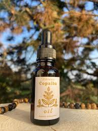 Image result for Copaifera