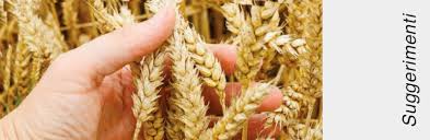 Infatti, il bulgur è un frumento germogliato che si presenta come un insieme di chicchi di grano duro dalla forma irregolare e, per intenderci, più grandi di quelli del couscous. Bulgur Cos E E Come Si Cucina Facileebuono