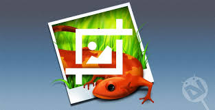 No crop is highly customized pics editing app featuring user friendly interface. How To Set Wallpaper On Android Without Cropping
