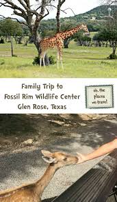 Family Trip To Fossil Rim Wildlife Center In Glen Rose Texas Get An Inside Look Of The Tour Glen Rose Family Travel Glen Rose Texas
