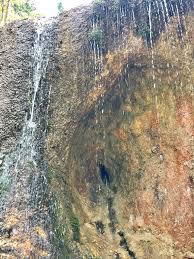 Când ne vom hotărî să mergem în vizită în zonă ar fi bine să le cuprindem pe amândouă în itinerariu. La Cascada Urlatoarea Si Rezervatia De Zimbrii Din Vama Buzaului Tara Dacilor