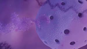 Se trata de una tecnología genética que durante mucho tiempo ha. Asi Funciona La Vacuna Contra El Covid 19 De Moderna Que Estaria Lista En 2021 Segun La Compania Cnn Video