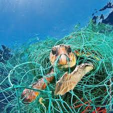 Did You Know 8 Million Metric Tons Of Plastic Enters The Ocean From Land Each Year Plastic Constitutes 90 Of Ocean Pollution Save Our Oceans Marine Debris