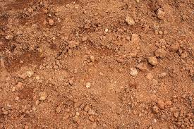 The soil should allow good drainage but still retain moisture. How To Amend Clay Soil Without Tilling Is It Even Possible The Practical Planter